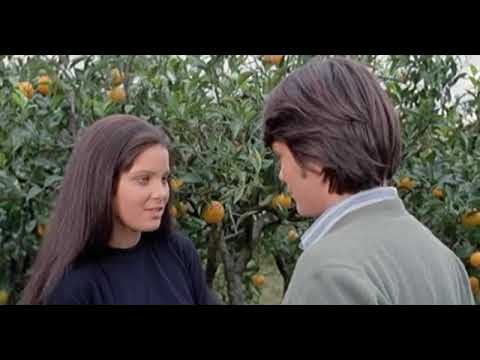 Vito Juvara 💘 Francesca Cimarosa - La moglie piu bella ( Alessio Orano Ornella Muti )