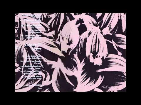 Shiny Black Mater - Roses And Ashes - B5 - Various - Circuit D'Actes 3 - LP (2013 - LFL8)