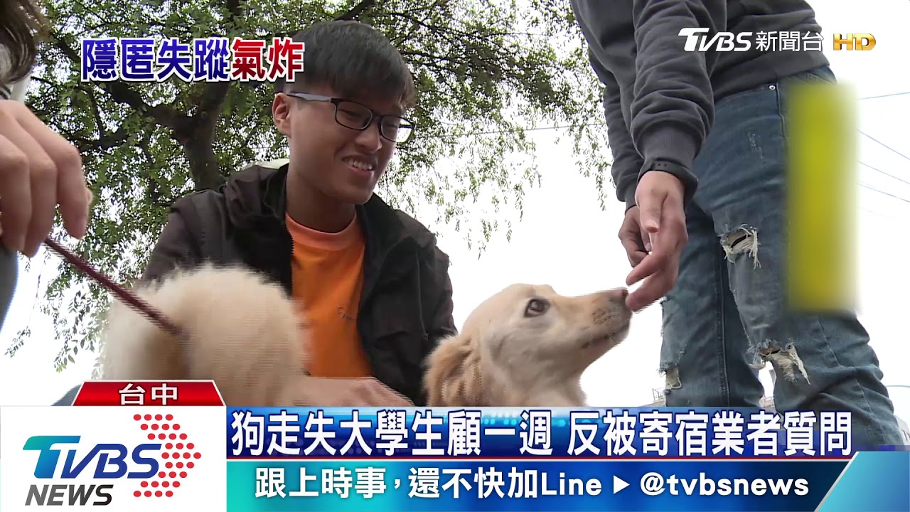 扯!出國玩 愛犬寄宿5天當天走失 飼主回國才知道