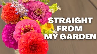Backyard Garden Update: Making my own cut flower bouquet