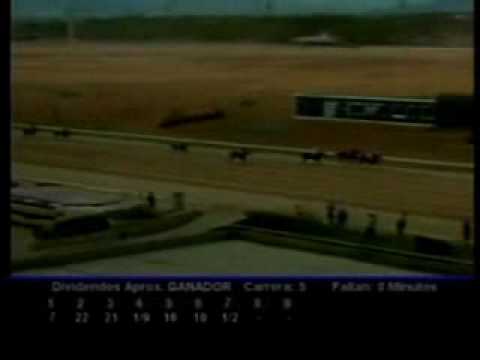 Resumen Viernes 29 de Enero 2010 - Valencia