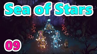 09【Sea of Stars】シーオブスターズ　浄化