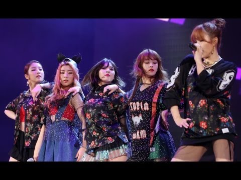 Highlights at 4MINUTE 「Whatcha Doin' Today」's Showcase for coming back