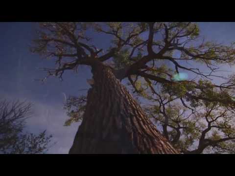 A.M.R. feat Ai Takekawa - TEISELPOOL KUUD (muusikavideo)