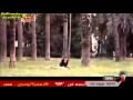 كليب رضا البحراوي اسماعيل المهاجر كليب رضا البحراوي اسماعيل المهاجر