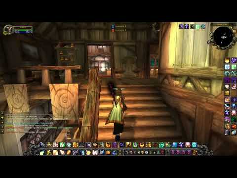 Outland Tailoring Trainer Alliance (375) WoW WotLK Classic