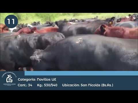 Lote Nv UE Hilton San Nicolás Bs As