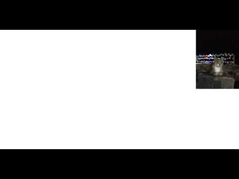 Learn Basic Turkish Lesson 3 Alphabets