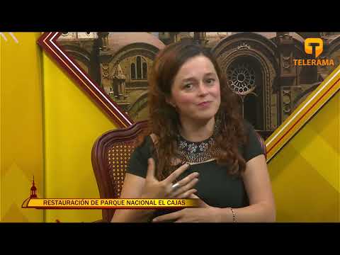 Cuenca desde Adentro Programa #230