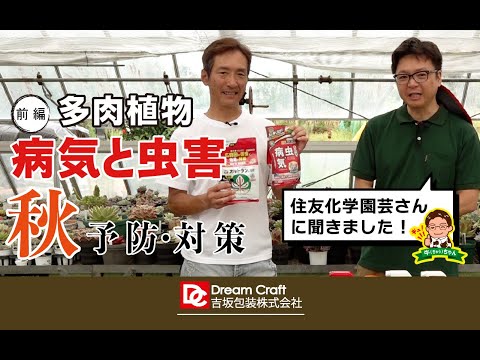 園芸 ミラクリンという甘味をもつたんぱく質