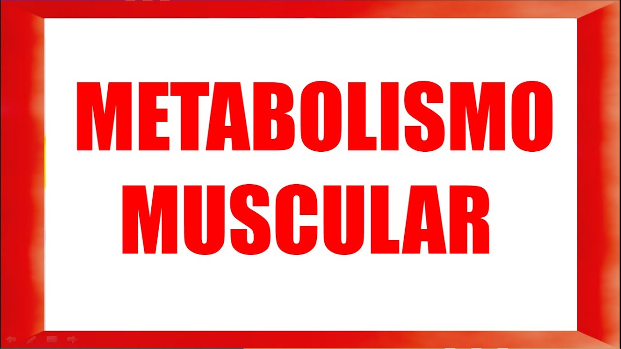 METABOLISMO MUSCULAR