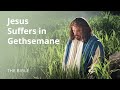 The Savior Suffers in Gethsemane