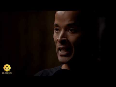 Why David Goggins runs 12 miles every single morning @ChrisWillx #shorts