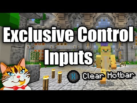 ibxtoycat - There Are SECRET Controls Anyone Can Use In Minecraft
