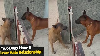 Re: [新聞] 獨家》美軍機進入中國領空 被共機怒嗆「