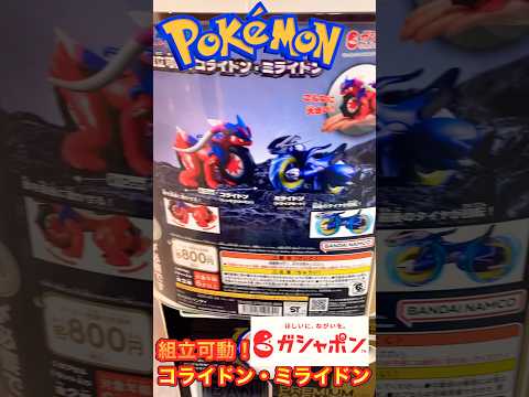【ガチャポン】 コライドン・ミライドン ✨ コンプリート? #ポケモン #ガチャポン #コライドン #ミライドン #ポケットモンスター