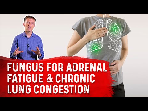 Cordyceps Fungus: The Amazing Remedy for Adrenal Fatigue & Chronic Lung Congestion – Dr. Berg