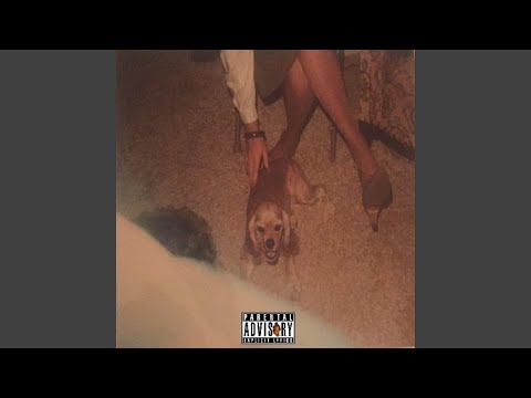 Here Today Gone Tomorrow