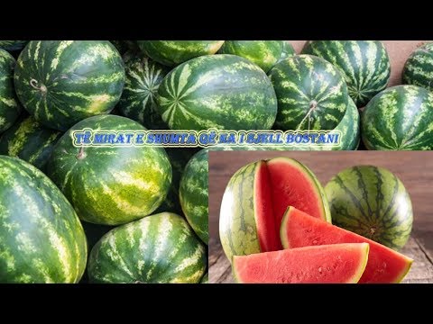 Të mirat e shumta që na i sjell bostani