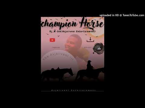 Dj_N-tee-Champion Horse