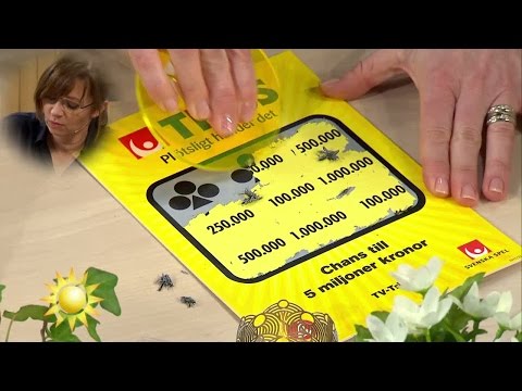 En Trissvinst som sätter guldkant på USA-resan - Nyhetsmorgon (TV4)