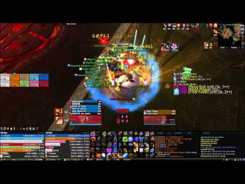Hordes Angels VS Dark Animus Trash