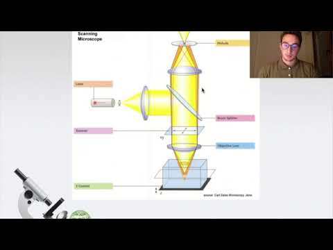Confocal Laser Scanning Microscopy (CLSM) Basics