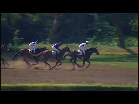 PE, 26. 5. 2018, 3. dostih - Cena společnosti Ing. Radek Píša