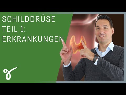 Etwas Zucker im Blut wird bei Erwachsenen als normal Terafleks für Diabetiker