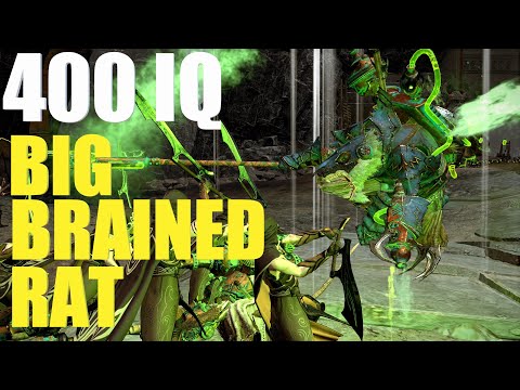 400 IQ Big Brained Rat