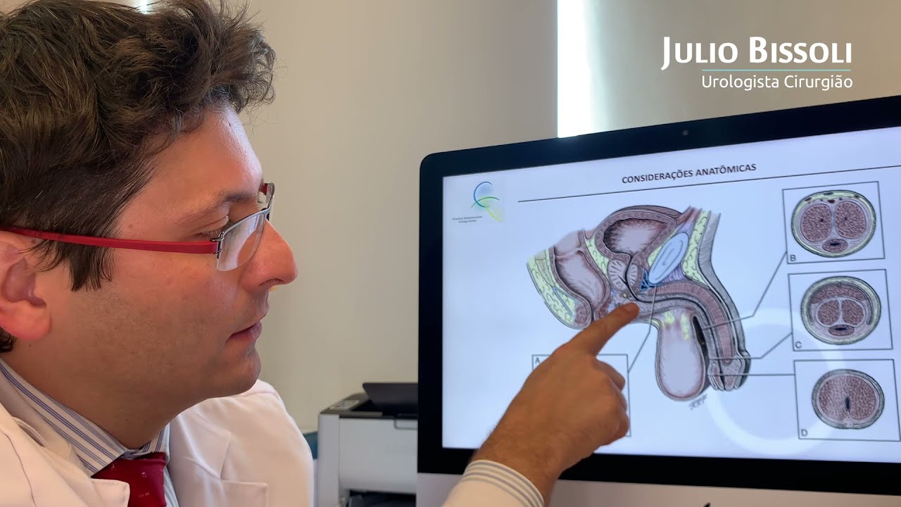 Anatomia da Uretra - Dr. Julio Bissoli