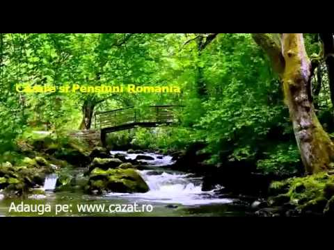 Cazare Ciugudu de Sus, Alba - Cazat.ro