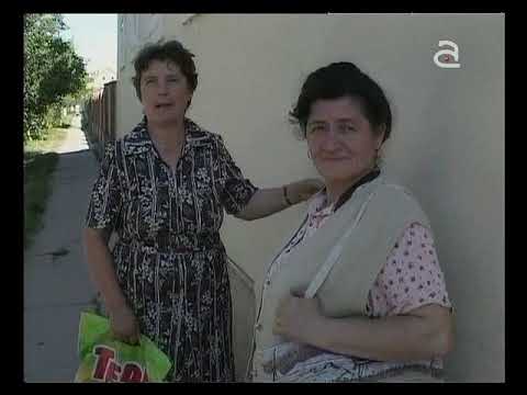 Navetistul Banatean - Ortisoara