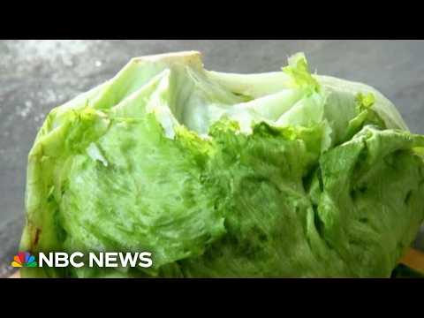 Iceberg lettuce eyed in parasite outbreak