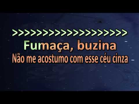 Karaokê DNA DO MATO ZÉ VAQUEIRO FEITO NO MOISES