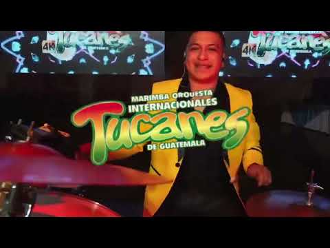 🎄✨ ¡SE VIENE EL POSADA FEST 2025! ✨🎄