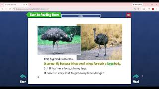 Level I.Birds