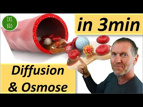 Diffusion und Osmose in drei Minuten erklärt - Biologie kurz und knapp