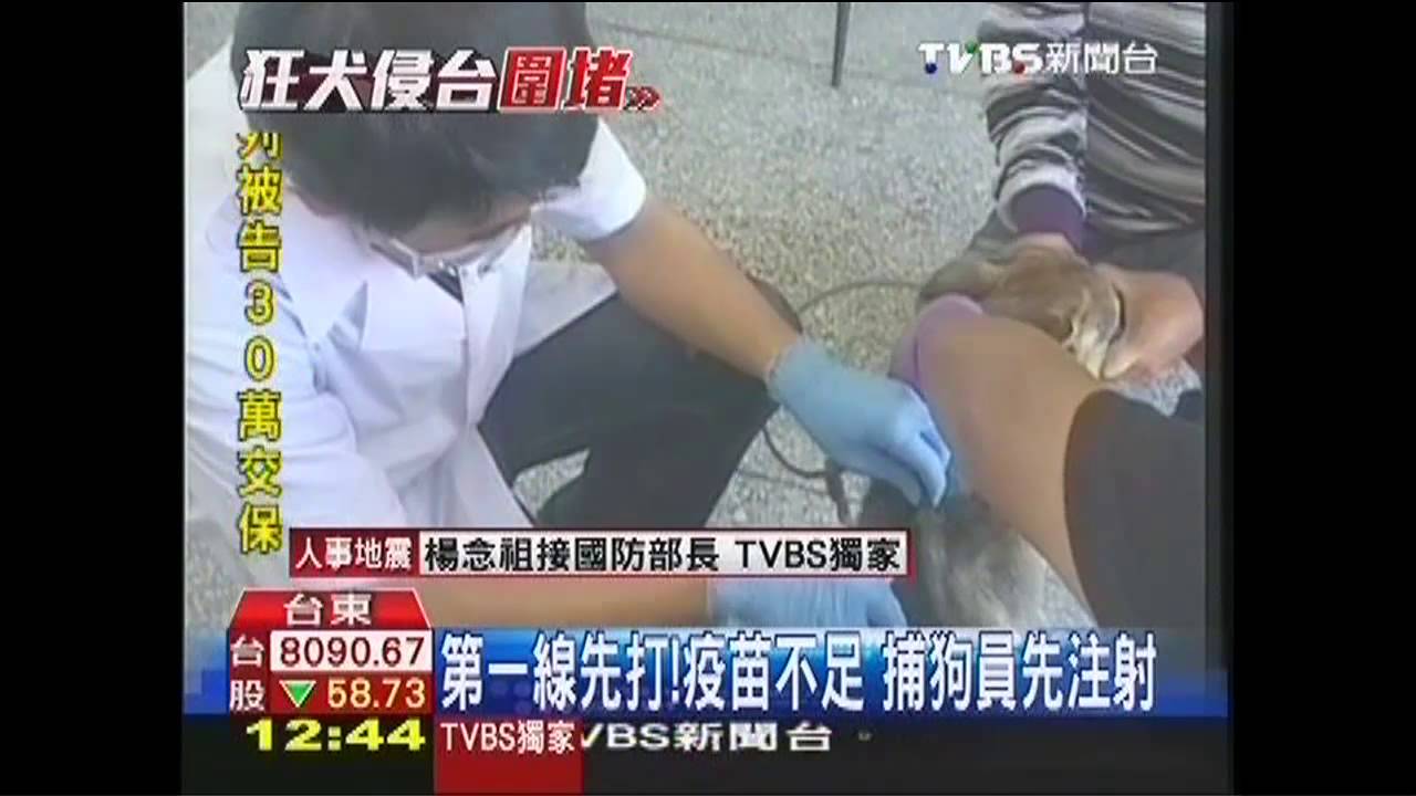第一線先打！疫苗不足　捕狗員先注射