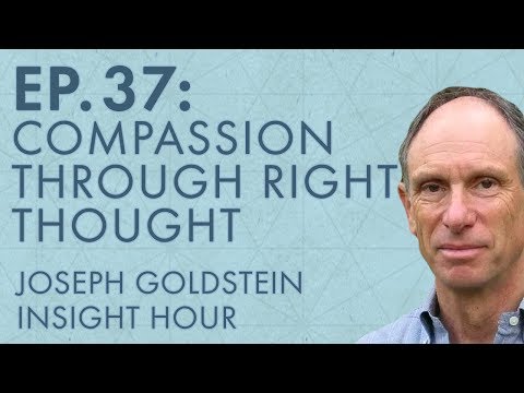 Joseph Goldstein – Insight Hour – Ep. 37 – The Eightfold Path: Compassion Through Right Thought