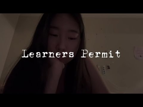 Alvina Kaye - learners permit (official lyric video)