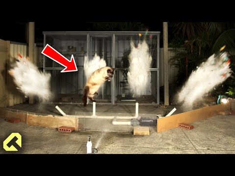 Next Level Cat Repellent - Funny Cat Reactions!