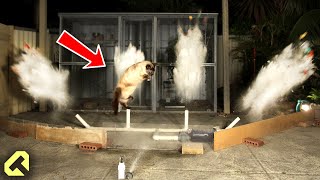 How to Stop Cats - Funny Cat Repellent!
