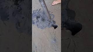 How to pump bloodworms🪱 #bloodworms #fishing #fishingtips #baitfishing #river #bait