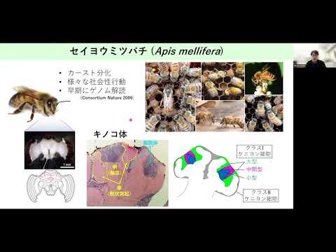 基礎生物学研究所 研究部門・施設-研究者情報
