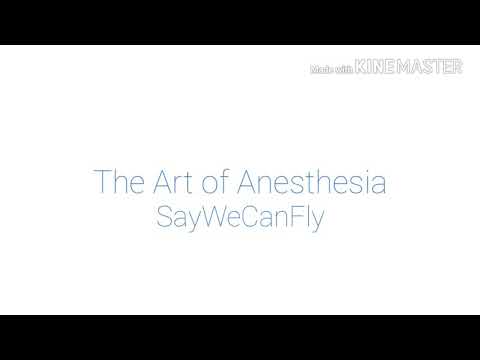 SayWeCanFly: The Art of Anesthesia (lyrics)