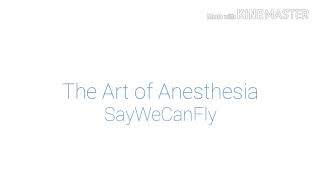 SayWeCanFly: The Art of Anesthesia (lyrics)