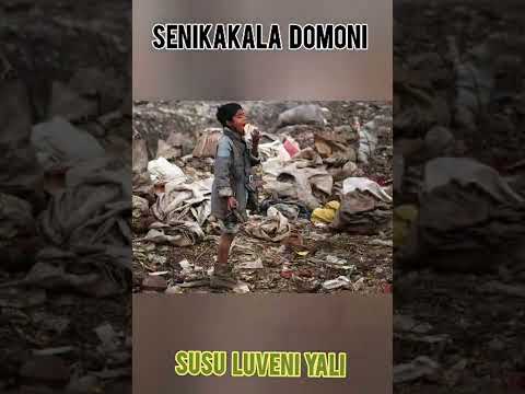 SENIKAKALA DOMONI - SUSU LUVENI YALI