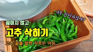 풋고추를 소금물에 간단히 삭혀보았고 소금물을 끓이지 않고 고추삭히는 방법 어떤 고추를 어떻게 삭혀야지 최고로…