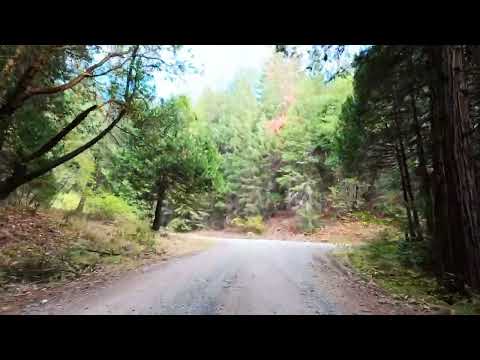 Drive through Southern Oregon Backroads - 4k